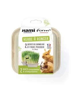 Best HAMIFORM Herbe à ronger pour lapin et cochon d'Inde Graines Bio - 2 x 125 g
