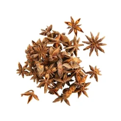 Online NATURE & VOUS Infusion bio badiane fruit – 40 g