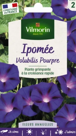 Clearance VILMORIN Ipomée Volubilis Pourpre - graines à semer