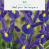 Clearance BOTANIC® Iris hollande coloris bleu - 15 bulbes