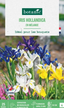 Sale BOTANIC® Iris hollandica en mélange - 25 bulbes