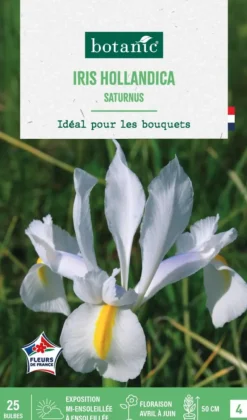 Clearance BOTANIC® Iris hollandica saturnus en mélange - 25 bulbes