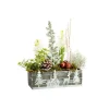 Online BOTANIC® Jacinthe et lierre en pot bois décor zinc