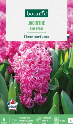 Clearance BOTANIC® Jacinthe pink pearl - 5 bulbes