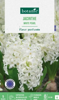New BOTANIC® Jacinthe white pearl - 5 bulbes