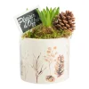 BOTANIC® Jacinthe x 3 pot céramique décor sous-bois - Ø 12 cm
