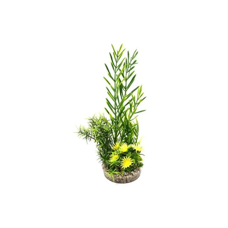 Outlet LABEO Jardin assorti vert en plastique 25 cm