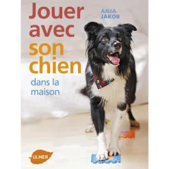 Outlet ÉDITIONS EUGEN ULMER Jouer avec son Chien à la Maison 96 pages Éditions Eugène ULMER