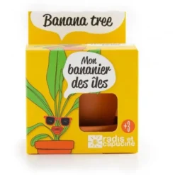 Clearance RADIS ET CAPUCINE Kit bananier à faire pousser en pot - Ø 8 cm