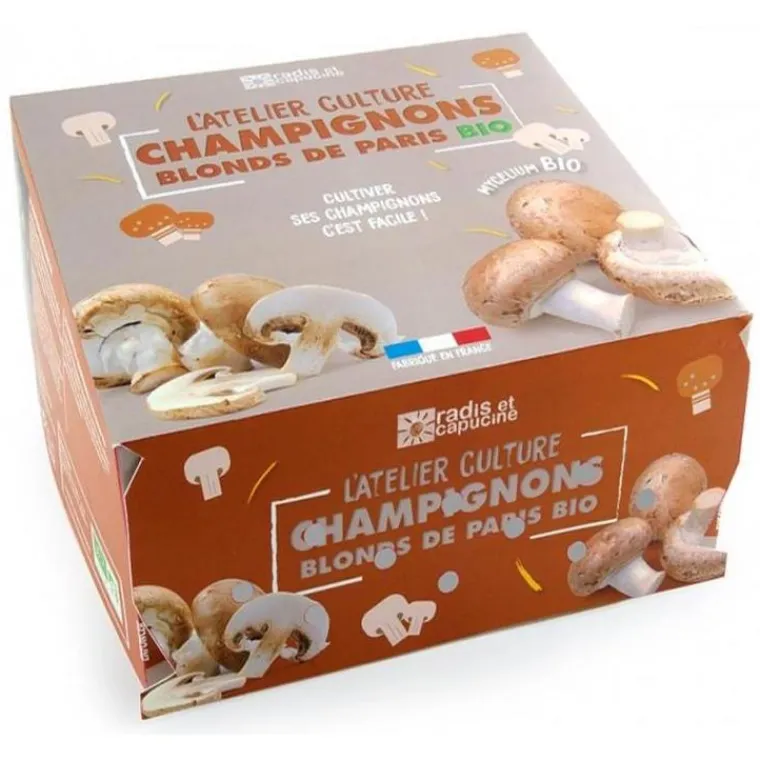 Outlet RADIS ET CAPUCINE Kit de culture de champignons de Paris blonds bio grand modèle