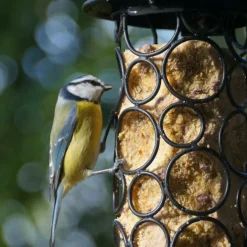 Sale NATURES MARKET Kit de mangeoire pétillante noir en métal et cylindre Ø 12 x 25,5 cm