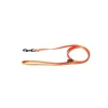 Hot MARTIN SELLIER Laisse chien nylon 10mm / 120cm orange