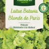 Discount VILMORIN Laitue Batavia Blonde de Paris - graines à semer