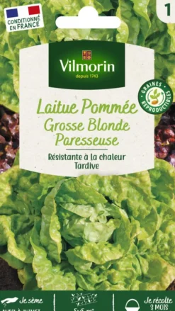 New VILMORIN Laitue Pommée Grosse Blonde Paresseuse - graines à semer
