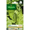 VILMORIN Laitue Romaine Blonde Maraîchère - graines à semer