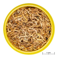 Best JBL Larves de moustiques pour poissons Pronovo fil M – 100 ml