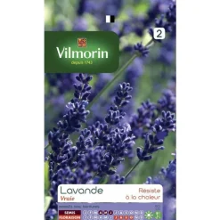 Online VILMORIN Lavande - graines à semer