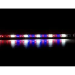 Best BLUE CORAL Leddy Tube Retrofit LED Plant 2.0 | 17 W - AQUAEL - 101.5cm