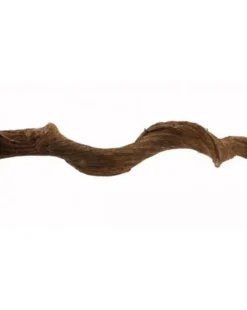 Clearance REPTILE PLANET Liane naturelle pour terrarium coloris marron Reptile Premium Vine Sambawa - 1,8 à 2 m (4 - 6 cm)