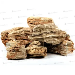 Online BLUE CORAL Light Pagode, taille L de 4,8-5,2 kg, AQUA DECO - vendue à l'unité