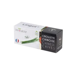 VÉRITABLE Lingot Ciboulette chinoise bio
