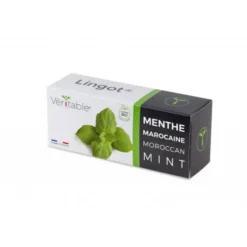 Online VÉRITABLE Lingot Menthe marocaine bio pour potager Véritable