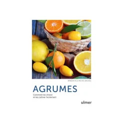 Best ÉDITIONS EUGEN ULMER Livre Agrumes - Comment les choisir et les cultiver facilement Éds Ulmer - 128 pages