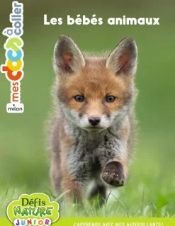 New ÉDITIONS MILAN Livre gommettes "Les bébés animaux" aux collection Mes docs à coller
