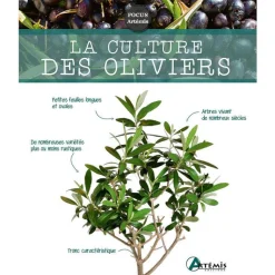 Hot ÉDITIONS ARTEMIS Livre "La culture des oliviers" aux Éditions Artémis