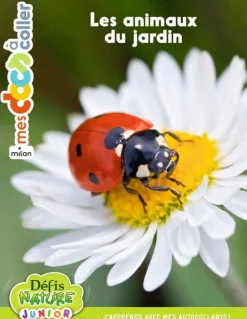 Best ÉDITIONS MILAN Livre "Les animaux du jardin" aux collection Mes docs à coller