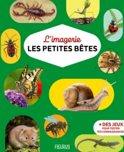 Online ÉDITIONS FLEURUS Livre "L'imagerie Les petites bêtes"