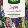 Best VILMORIN Lupin de Russel Varié - graines à semer