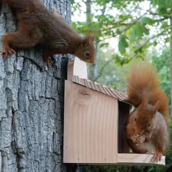 Outlet NATURES MARKET Mangeoire en pin 2 en 1 pour oiseaux ou écureuils 18 x 20 x 24 cm