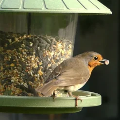 NATURE'S MARKET Mangeoire pour oiseaux en plastique 100 % recyclé coloris vert Natures Market Émilie - 21,7 x 20 cm