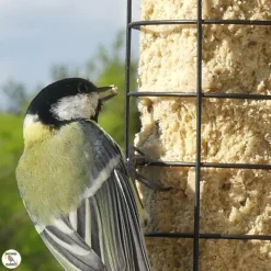 Sale NATURES MARKET Mangeoire tube pour boules de graisse