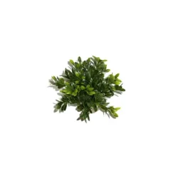 Discount LABEO Massif rond coloré vert en plastique 10 x 15 cm