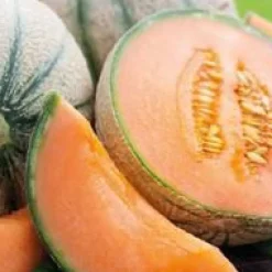 New BOTANIC® Melon Jenga Bio. Le pot de 10,5 cm