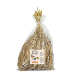 Sale GRAIN DE VIE Millet jaune français pour oiseaux - 1 kg