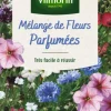 Discount VILMORIN Mélange de fleurs parfumées - graines à semer pour 4 m² de surface