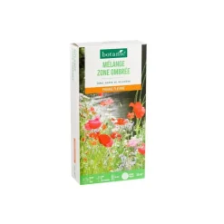 Discount BOTANIC® Mélange de graines pour zone ombragée - graines à semer (25 m²)