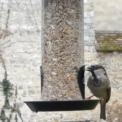 Online NATURES MARKET Mélange de graines suprême - 1,8 kg