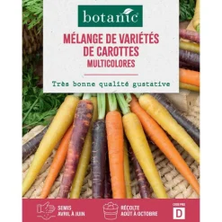 Outlet BOTANIC® Mélange de graines variétés de carottes - graines à semer