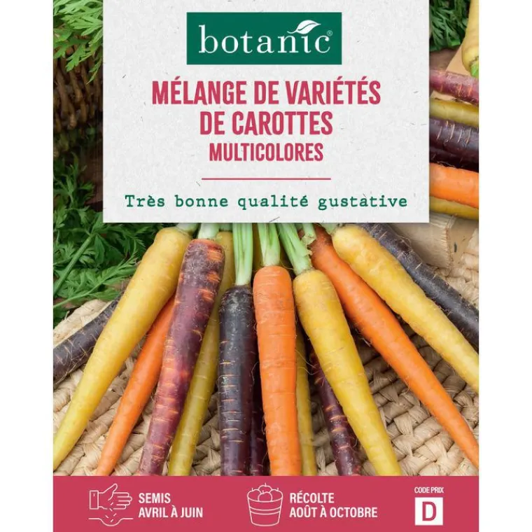 Outlet BOTANIC® Mélange de graines variétés de carottes - graines à semer