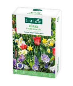 Best BOTANIC® Mélange terrasse biodiversité - 40 bulbes