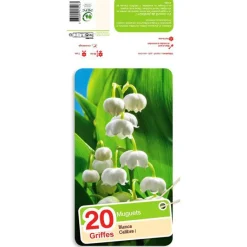 Outlet ERNEST TURC Muguet blanc x 20 griffes calibre 1