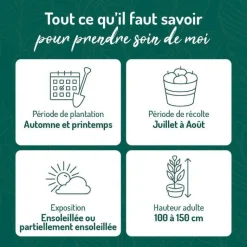 Discount BOTANIC® Myrtille Brigitta Blue Bio. Le pot de 2 litres