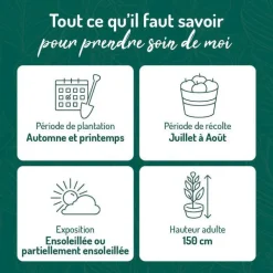 Sale BOTANIC® Myrtille Elisabeth Bio. Le pot de 2 litres