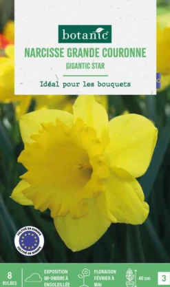 Online BOTANIC® Narcisse gigantic star - 8 bulbes