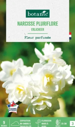 Best BOTANIC® Narcisse pluriflore - 9 bulbes
