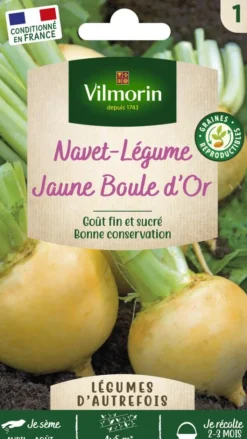 Hot VILMORIN Navet Jaune Boule d'Or - graines à semer